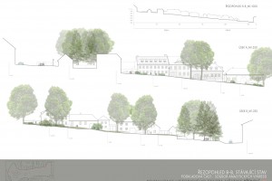 Urbanistická studie. Revitalizace historického centra městyse Přídolí.